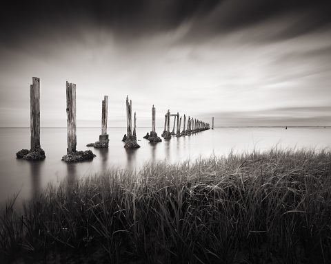 A Procession Into Absence