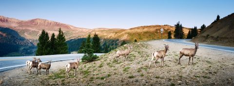 Ascending to the Thin Air