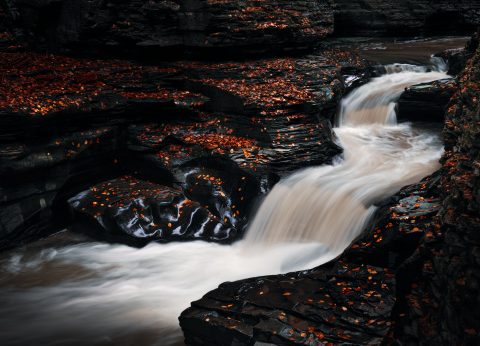 Autumn’s Descent into the Abyss
