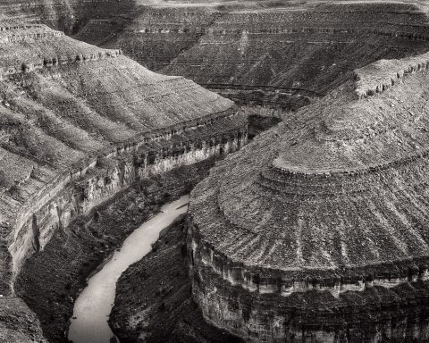 Curving Through Time