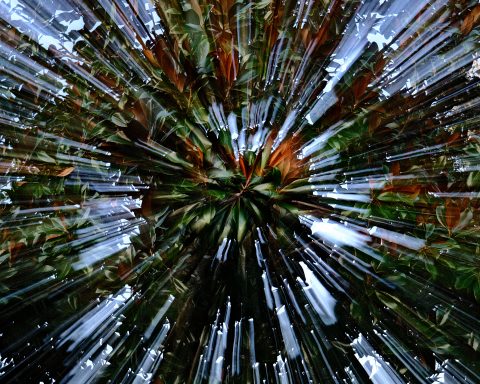 Explosion of Verdant Light