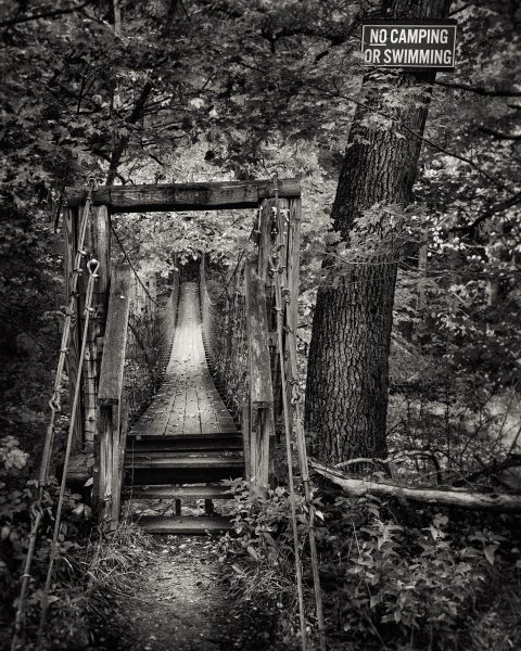 Passage to the Forbidden Woods