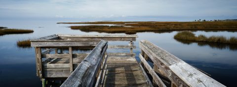 Pathway to the Marsh