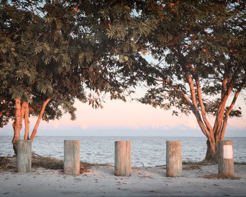 Sentinel Pillars of Eden