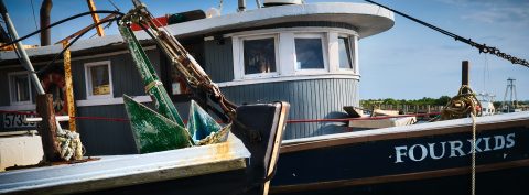 Shattered Ribs of Iron