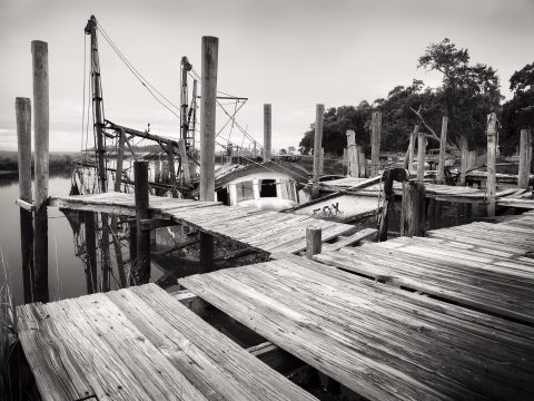 Skeletal Remains of a Bygone Voyage