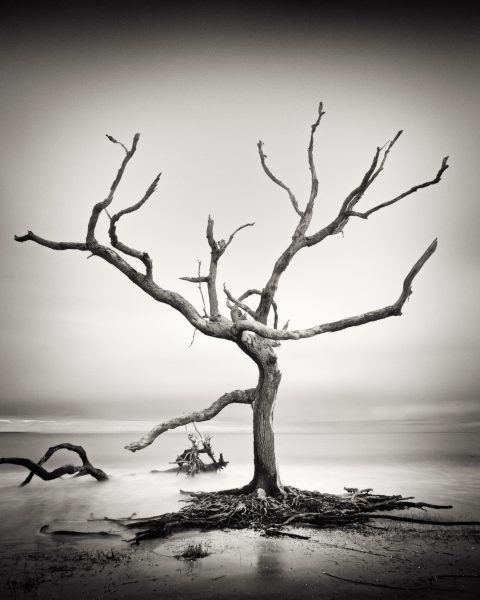 Skeleton Against Eternity