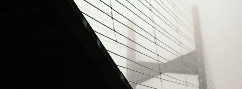 Steel Strands in Mist