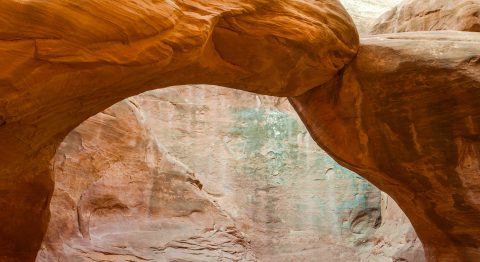 Stone Ribs of the Desert