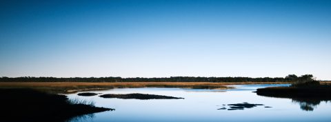 The Infinite Blue Above the Marsh