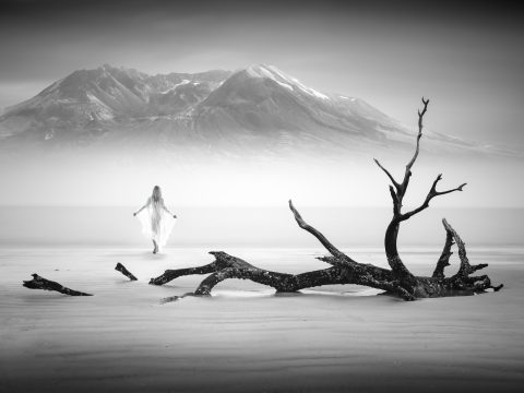 The Shore of Departures