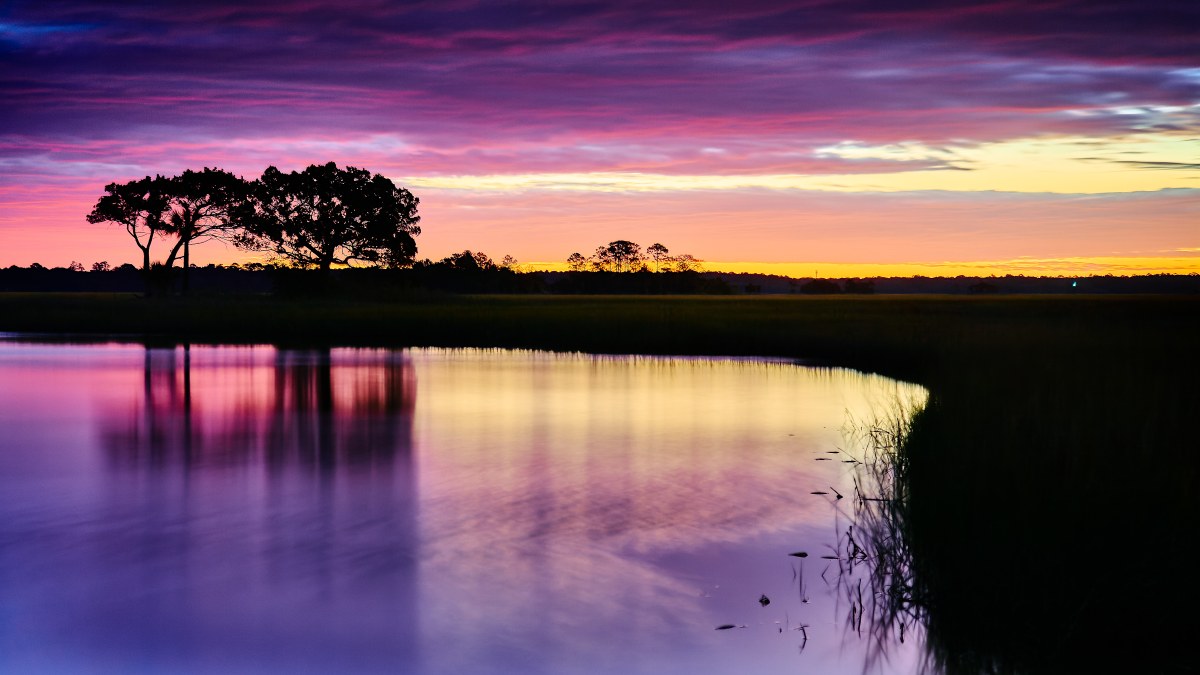 Amethyst Canopy of Twilight