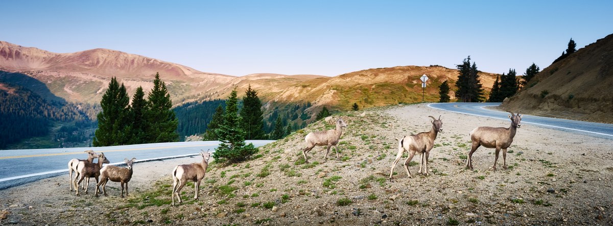 Ascending to the Thin Air