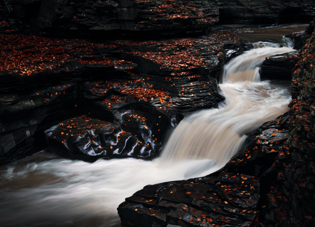 Autumn’s Descent into the Abyss