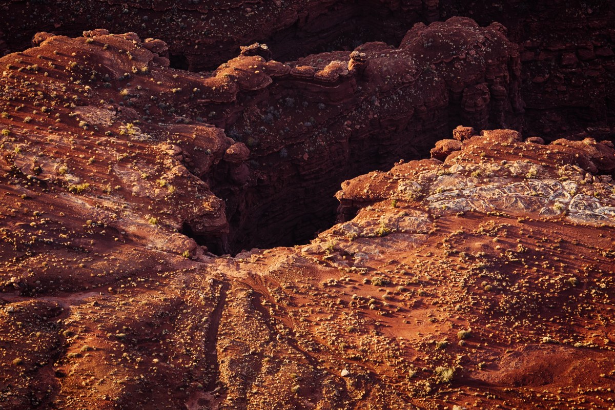 Canyon’s Crimson Pulse