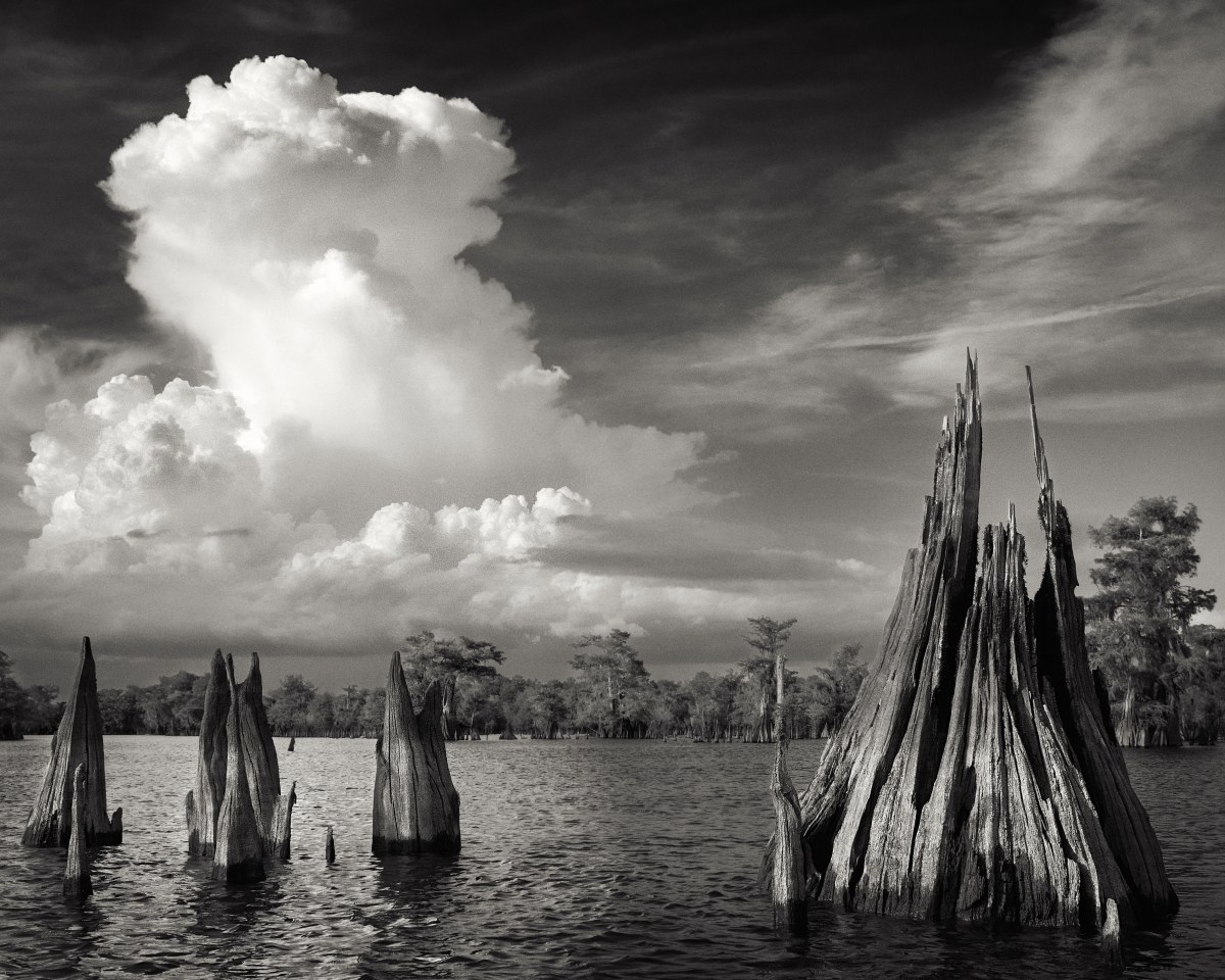 Cypress Grove Monologue