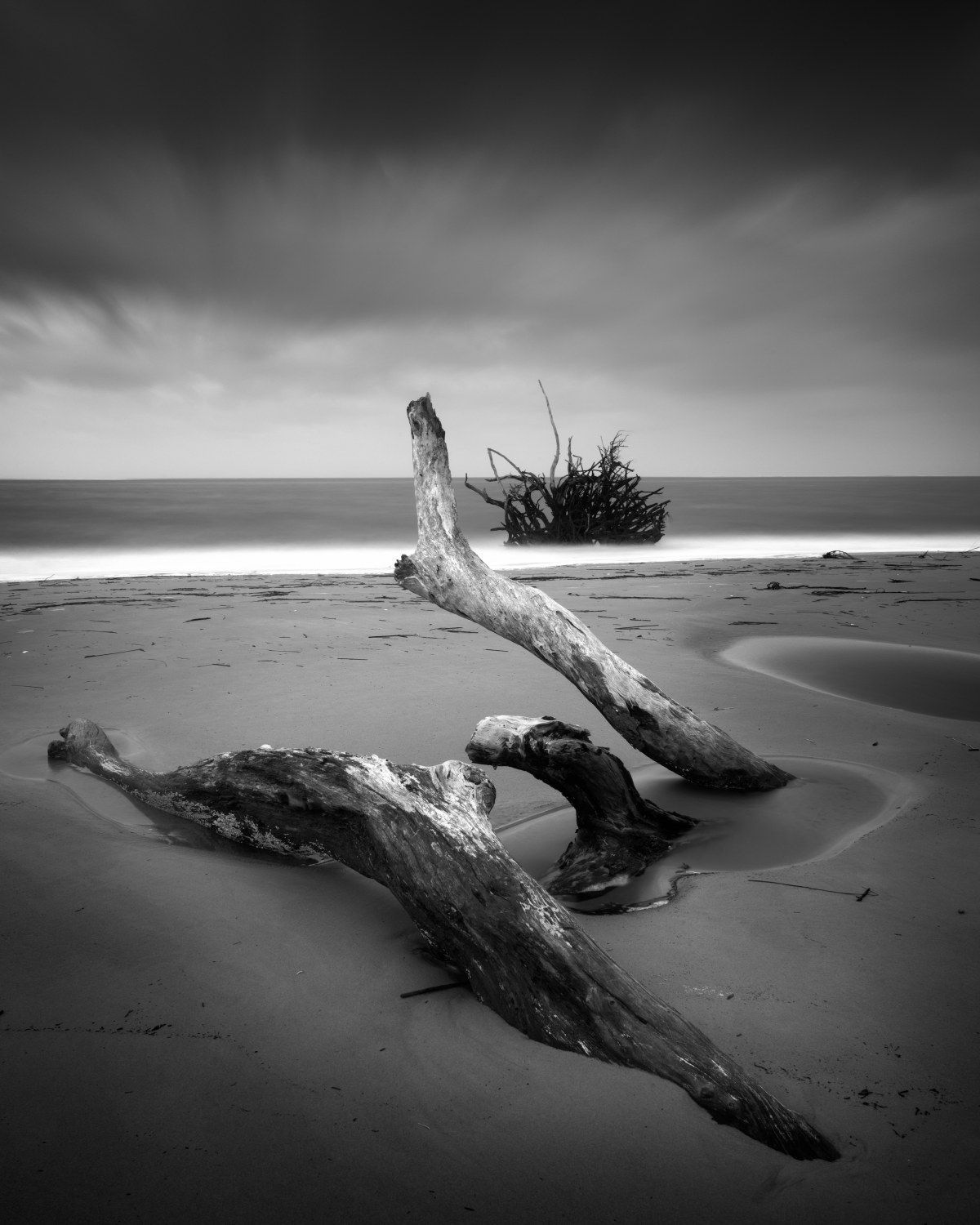 Distant Shoreline Spirits