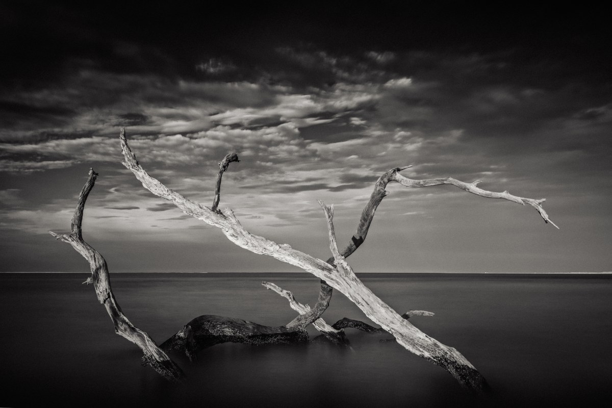 Monochrome Tide Pulse