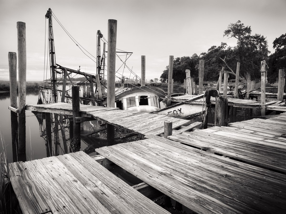 Skeletal Remains of a Bygone Voyage