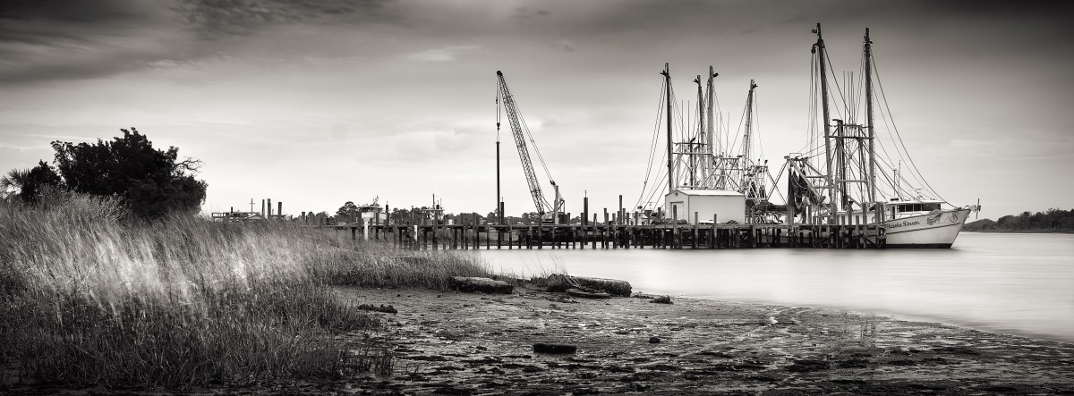 Skeletons of the Basin