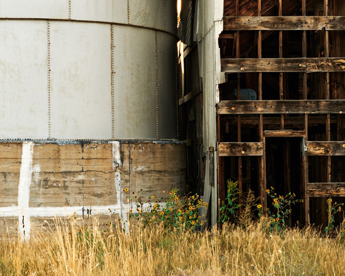 Steel Giants and Wooden Bones