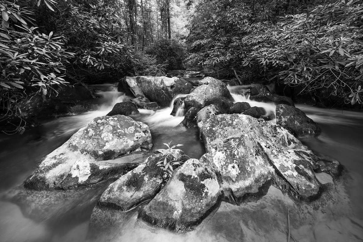 Stone Hearts of the River