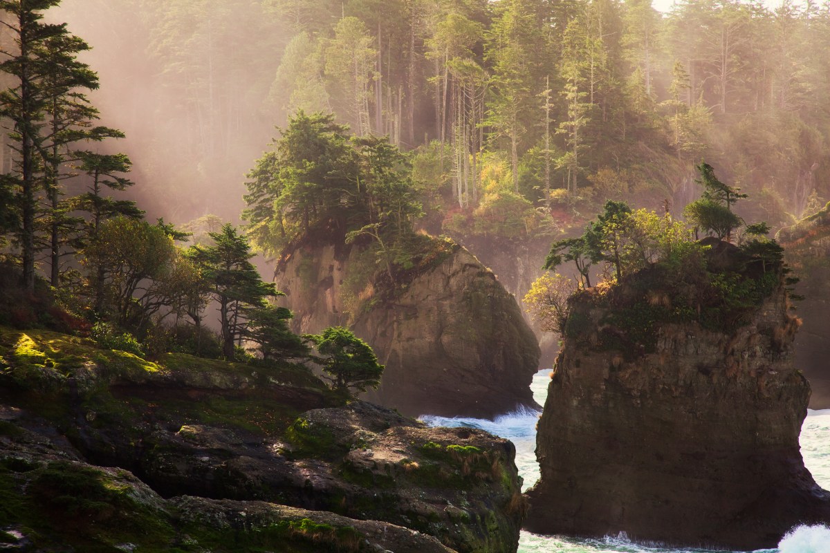 Sunlight's Cathedral