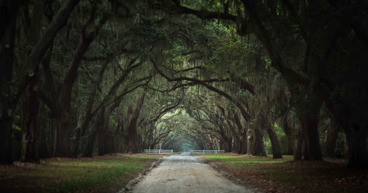 The Arc of Infinite Green