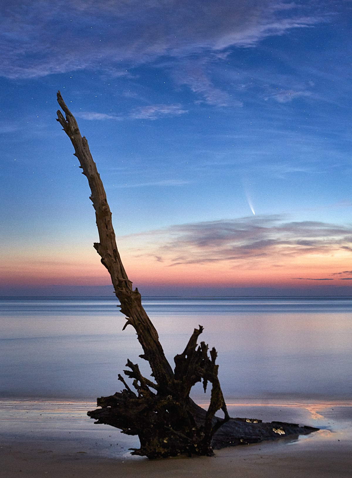 The Comet’s Silent Witness