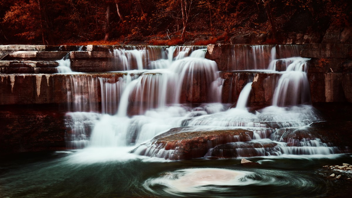 The Crimson Veil of the Fall
