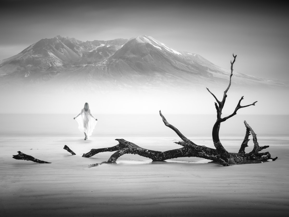 The Shore of Departures