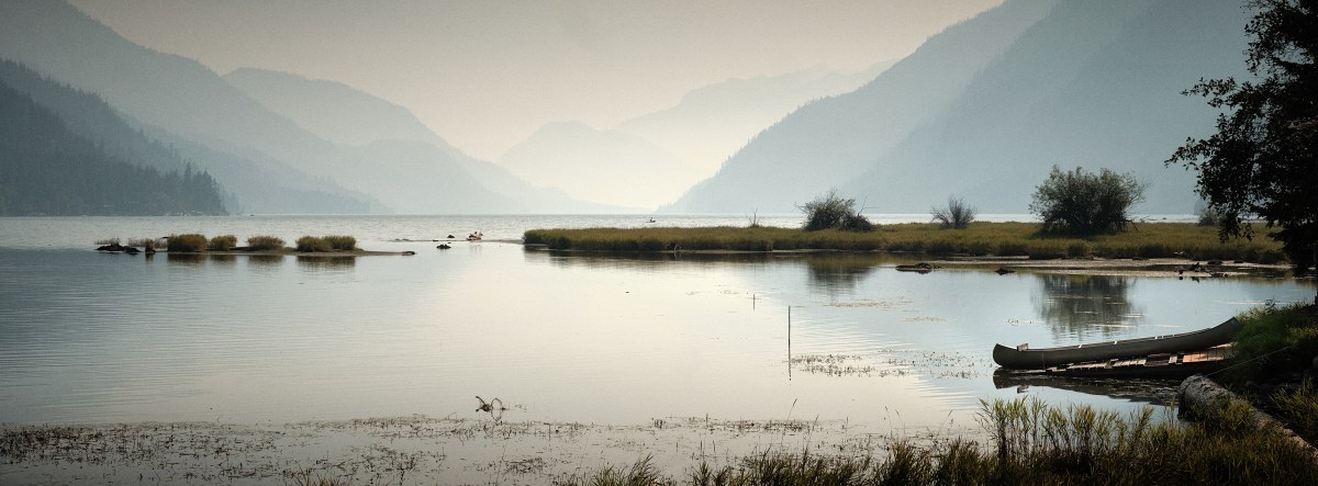 Veils of Mist Along the Narrow Path