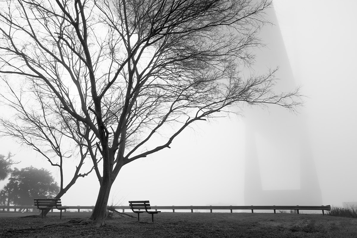 Waiting in the Mists