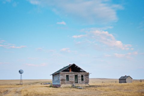 A Memory of the Plains