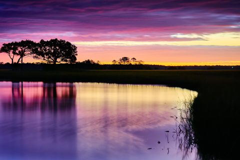 Amethyst Canopy of Twilight