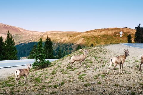 Ascending to the Thin Air