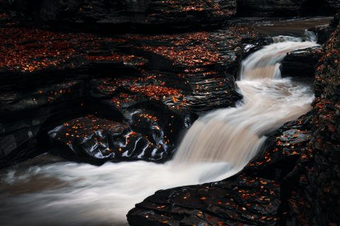 Autumn’s Descent into the Abyss