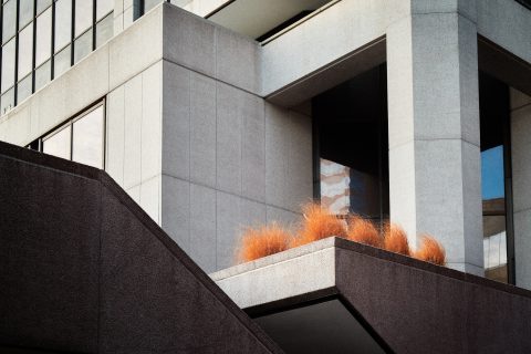 Concrete Whispers in Gold