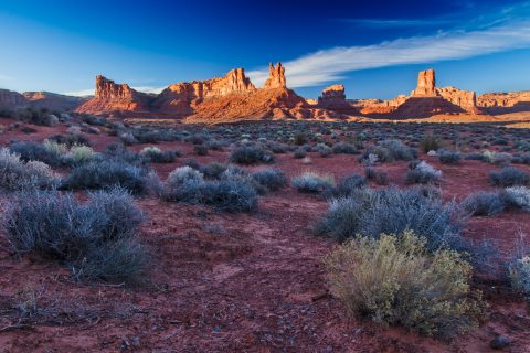 Desert’s Golden Spires