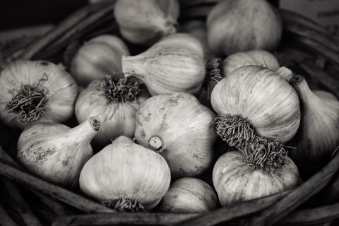 Earth’s Hidden Bulbs