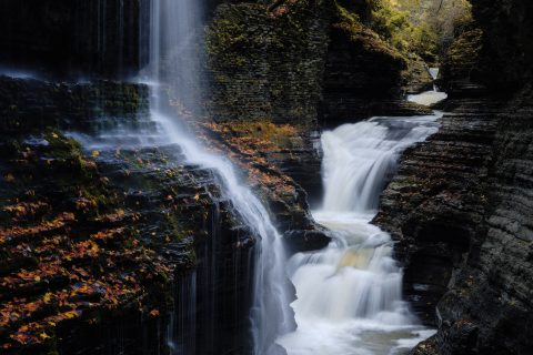 Echoes of the Autumn Bridge