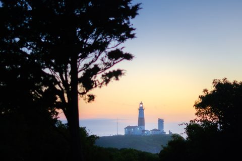 Ember of the Fading Watch