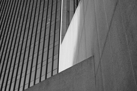 Monochrome Slant of Light