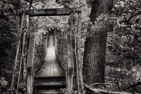 Passage to the Forbidden Woods