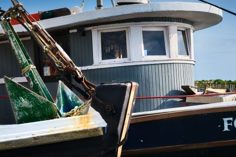 Shattered Ribs of Iron