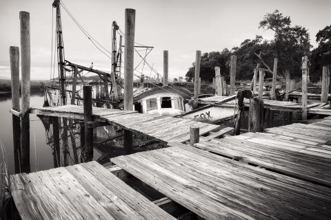 Skeletal Remains of a Bygone Voyage