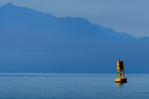 Solitary Beacon in the Deep Blue