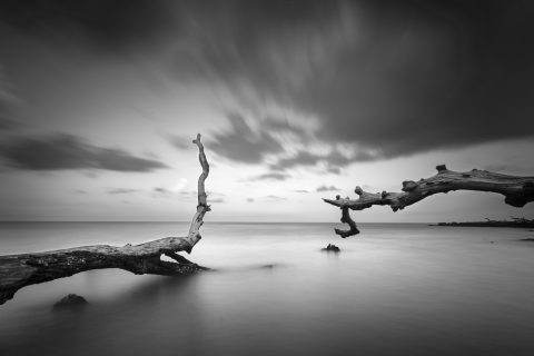 Stark Reach Across Infinity