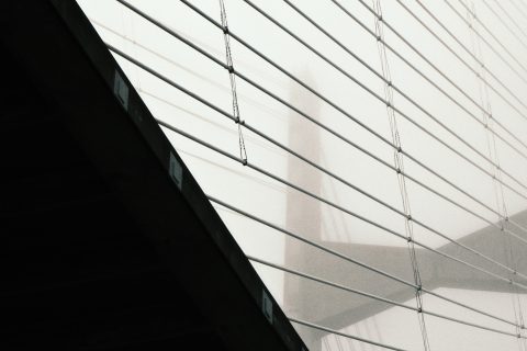 Steel Strands in Mist