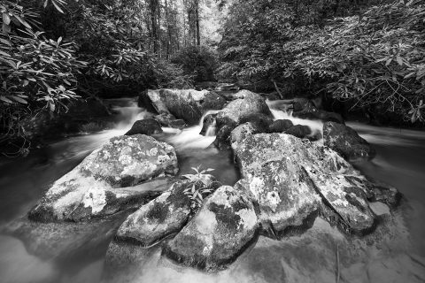 Stone Hearts of the River